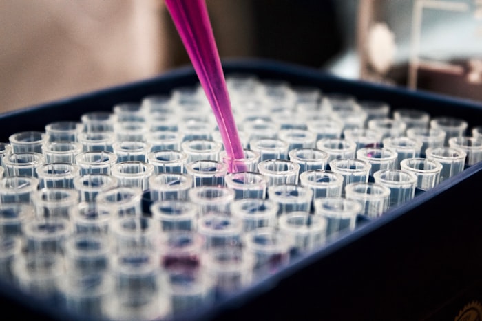 College of Biological Sciences & Biotechnology